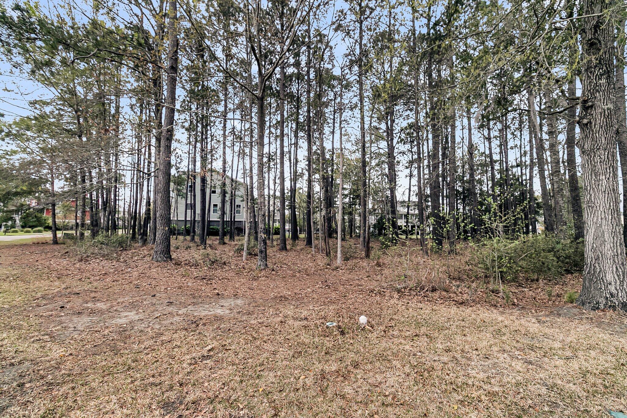 1508 Rivertowne Country Club Drive