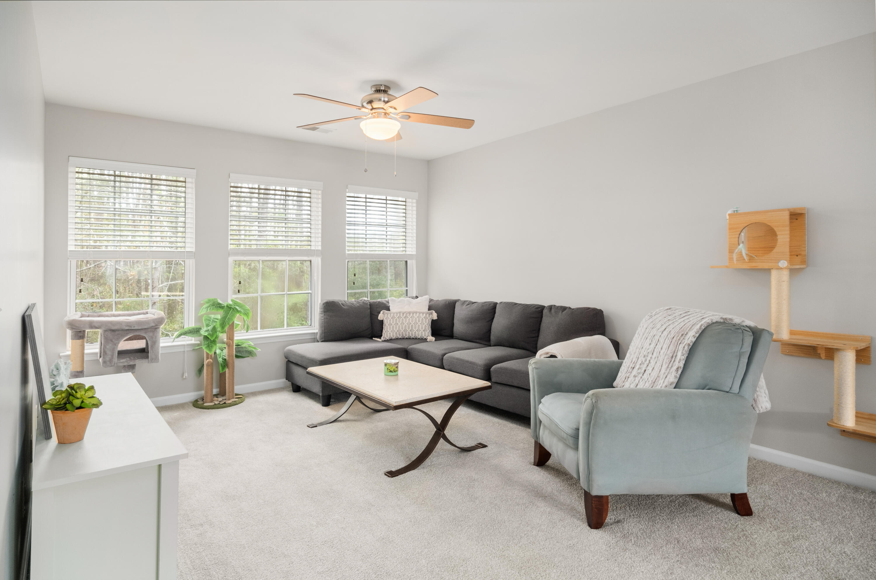 9118 Maple Grove Drive
