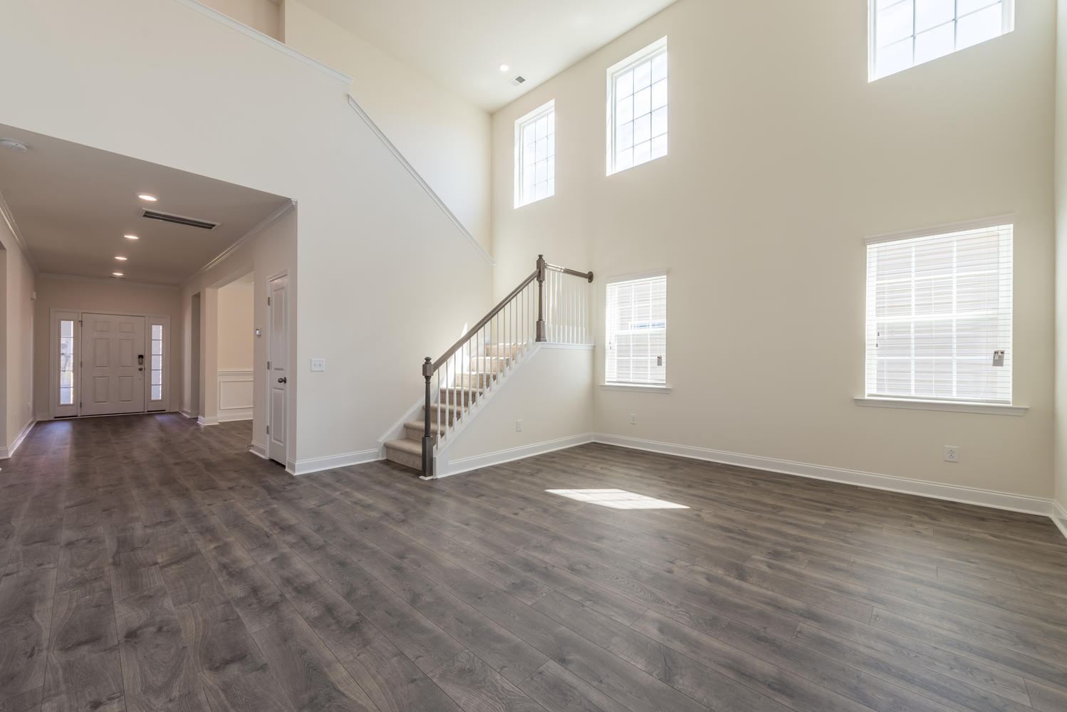 175 Threaded Fern Street