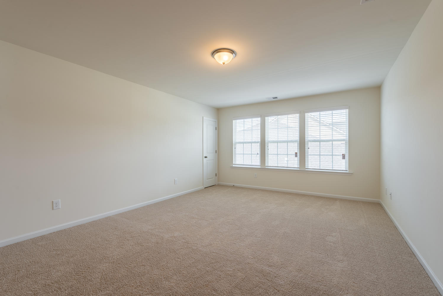 175 Threaded Fern Street