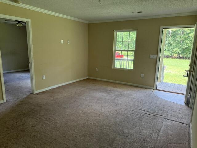 337 Majority Road