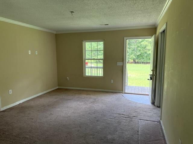 337 Majority Road