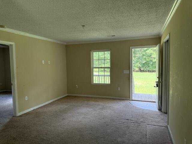 337 Majority Road