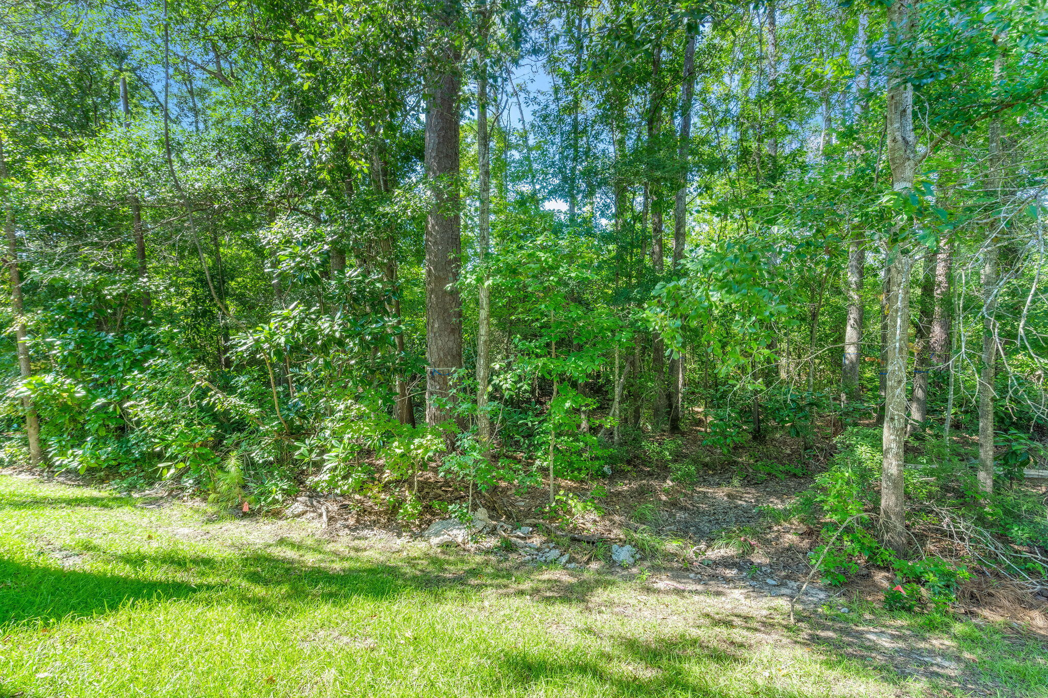 125 Orchid Bloom Circle