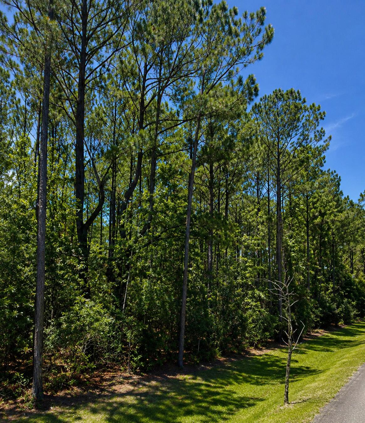 0 Sportsman Island Drive