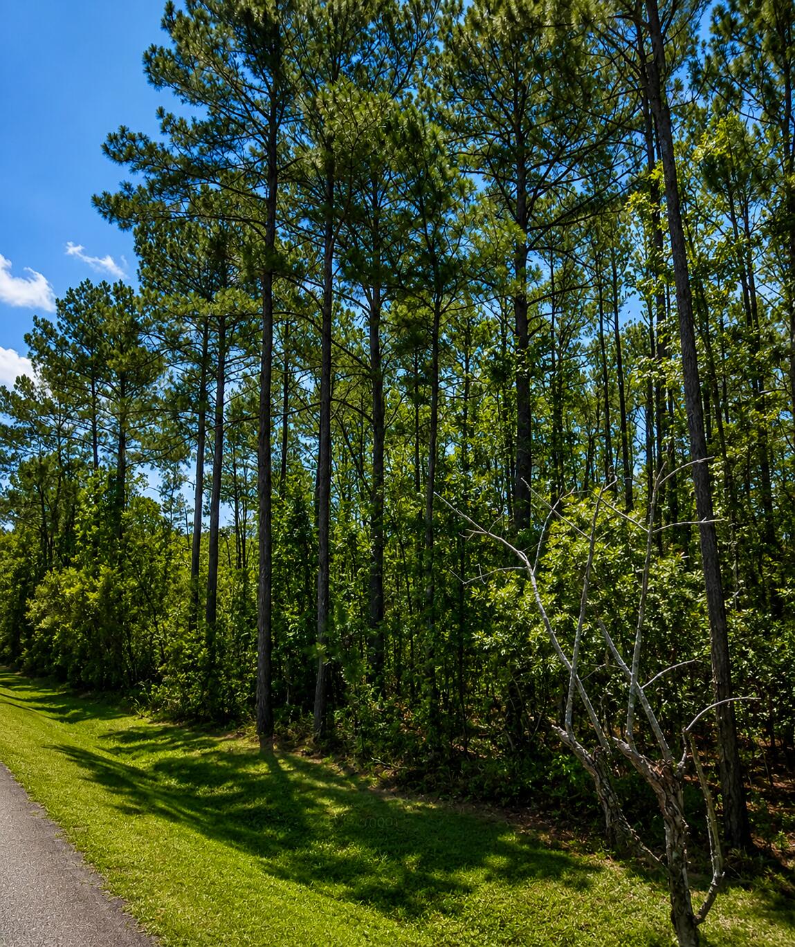 0 Sportsman Island Drive