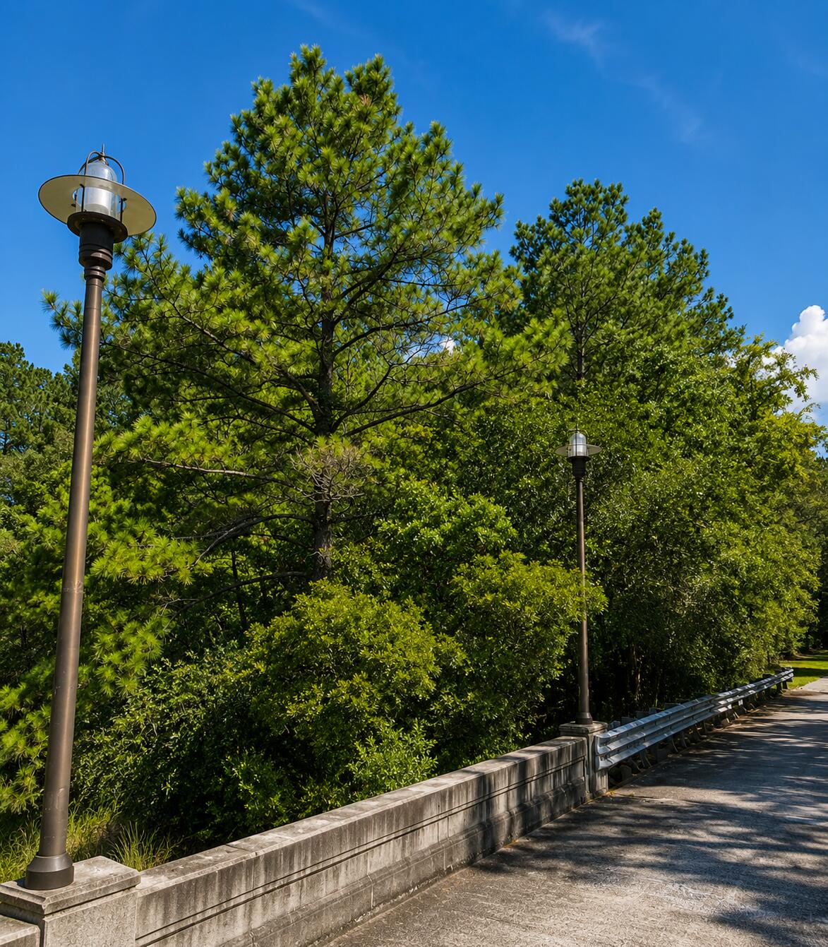 0 Sportsman Island Drive