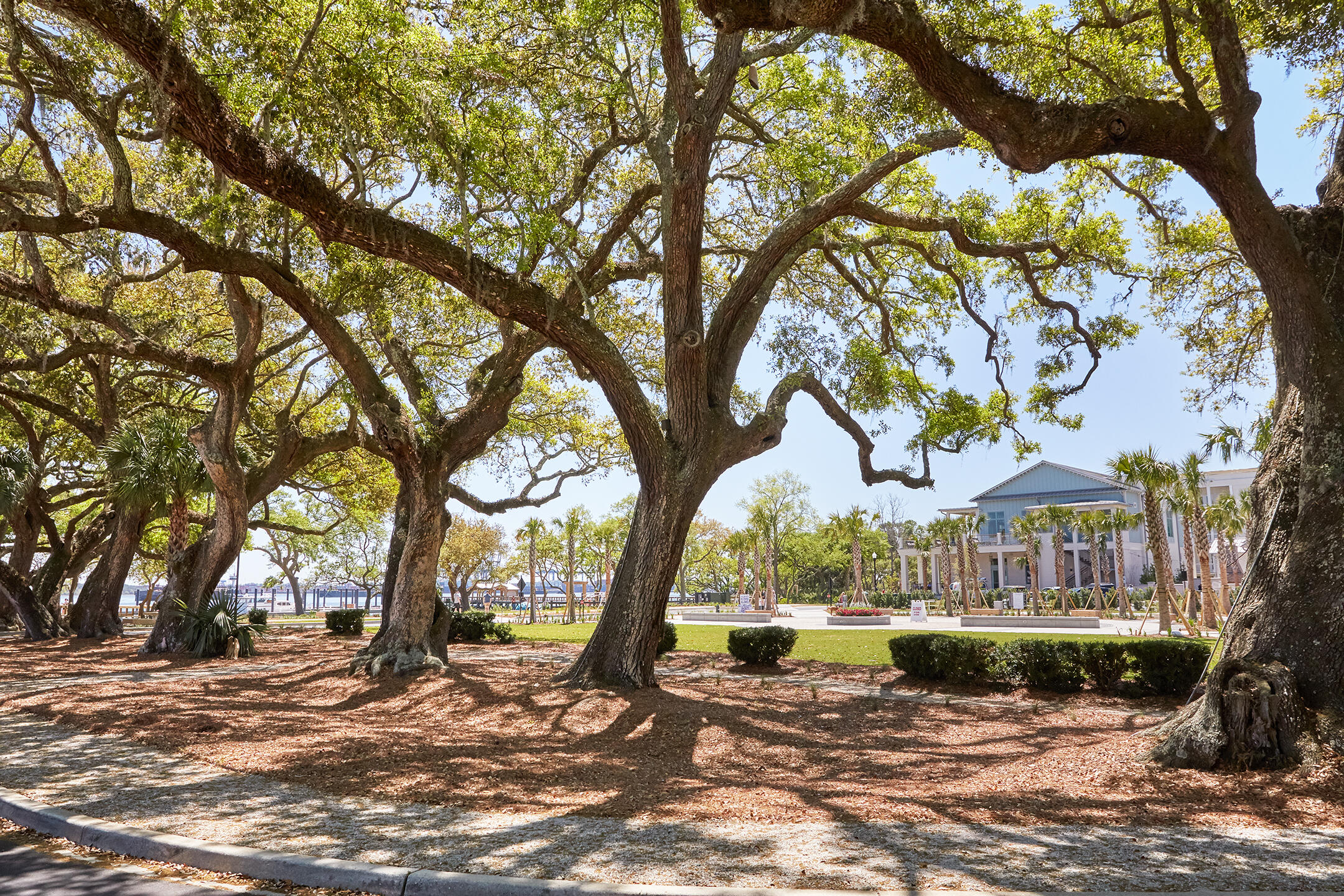 0 Sportsman Island Drive