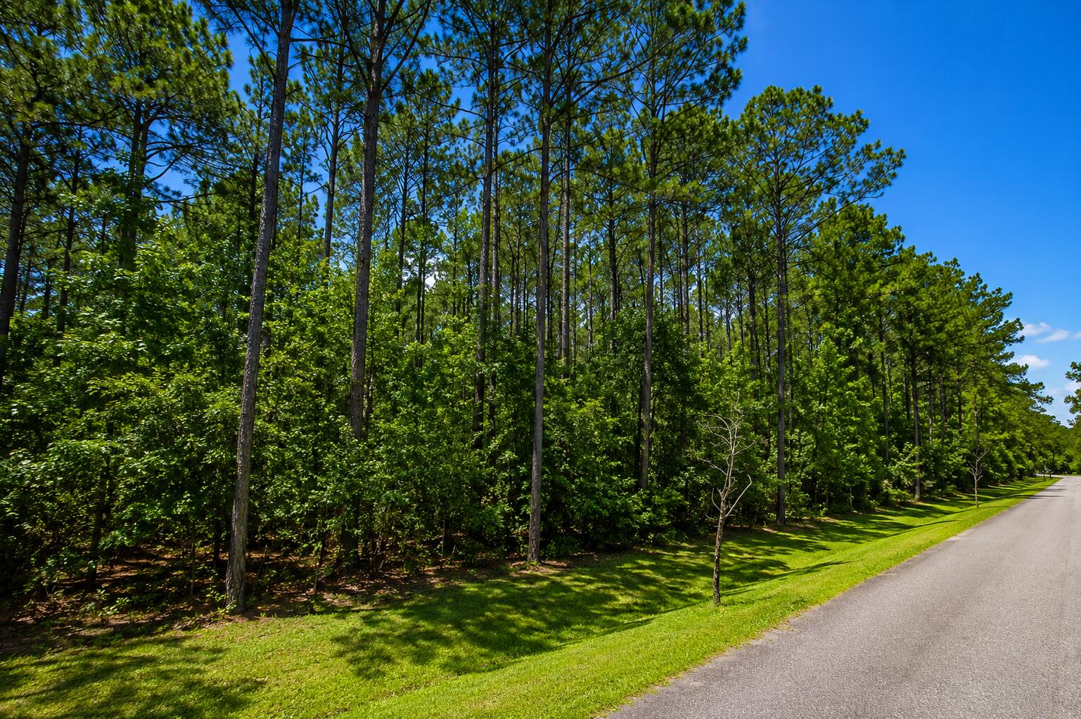 0 Sportsman Island Drive