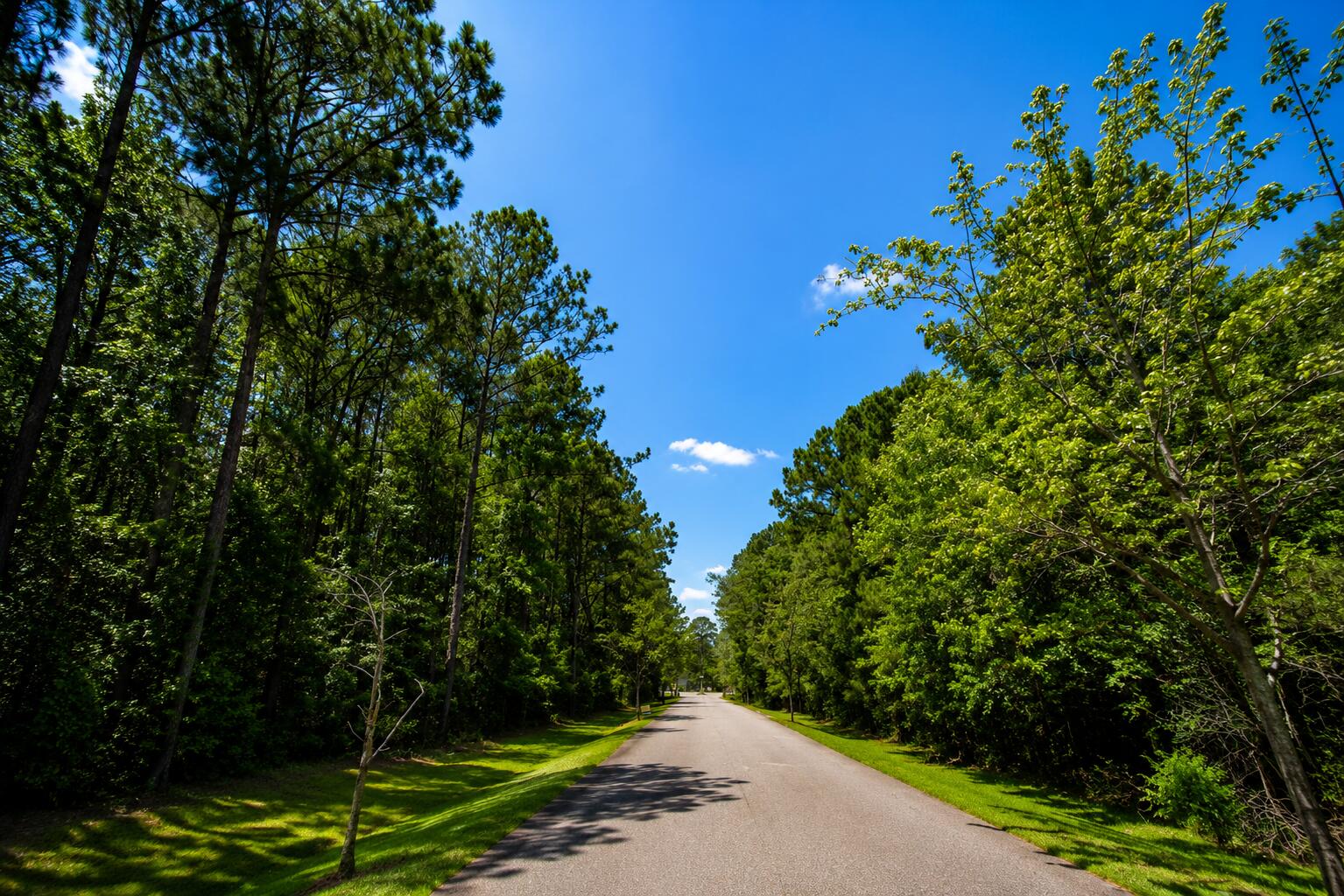0 Sportsman Island Drive