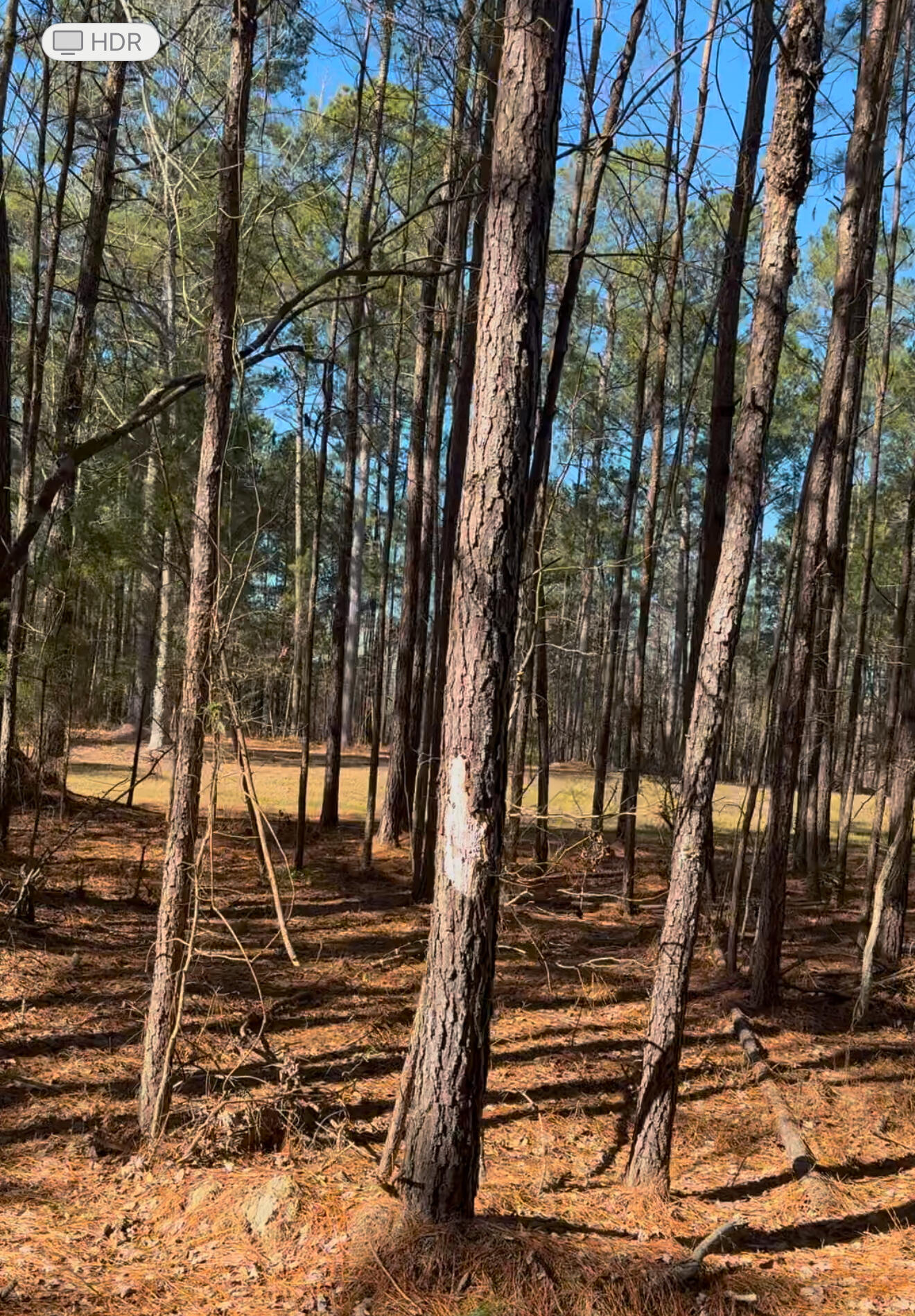 450 River Blf Trail