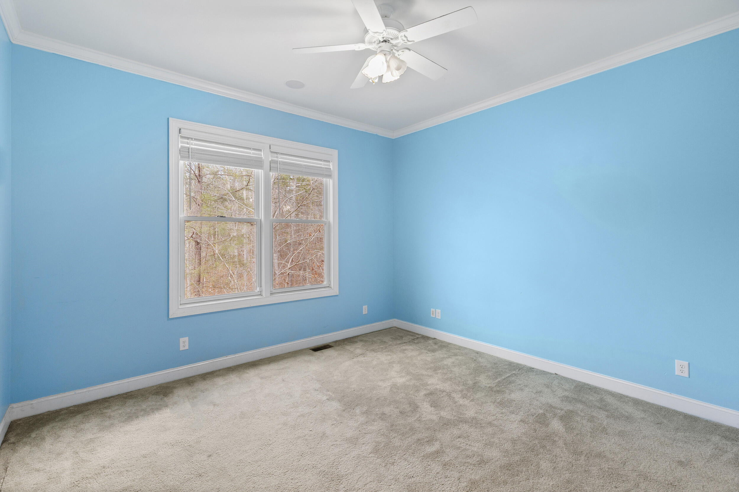 405 Saint Johns Drive