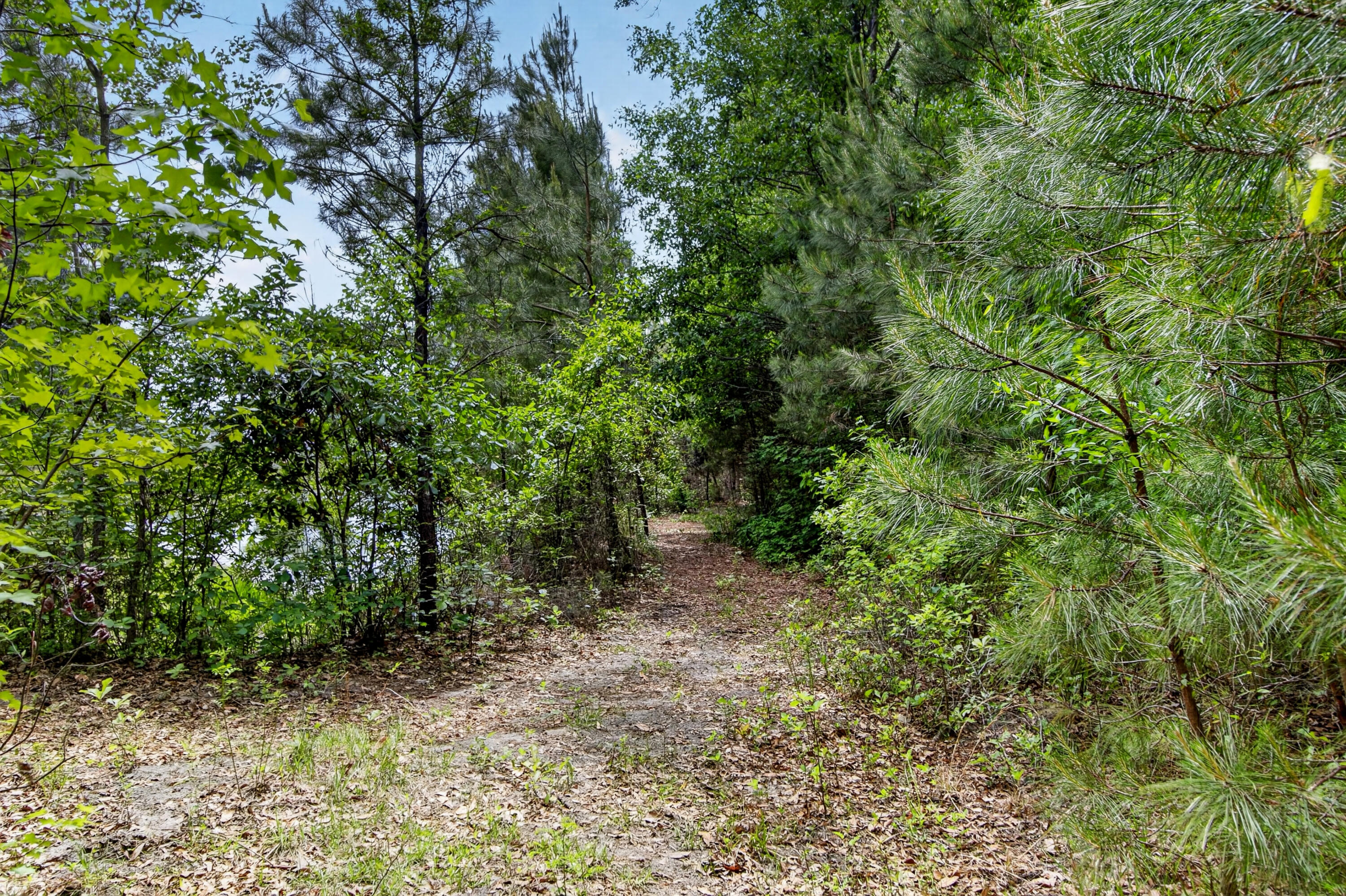 7089 Pumpkinseed Drive