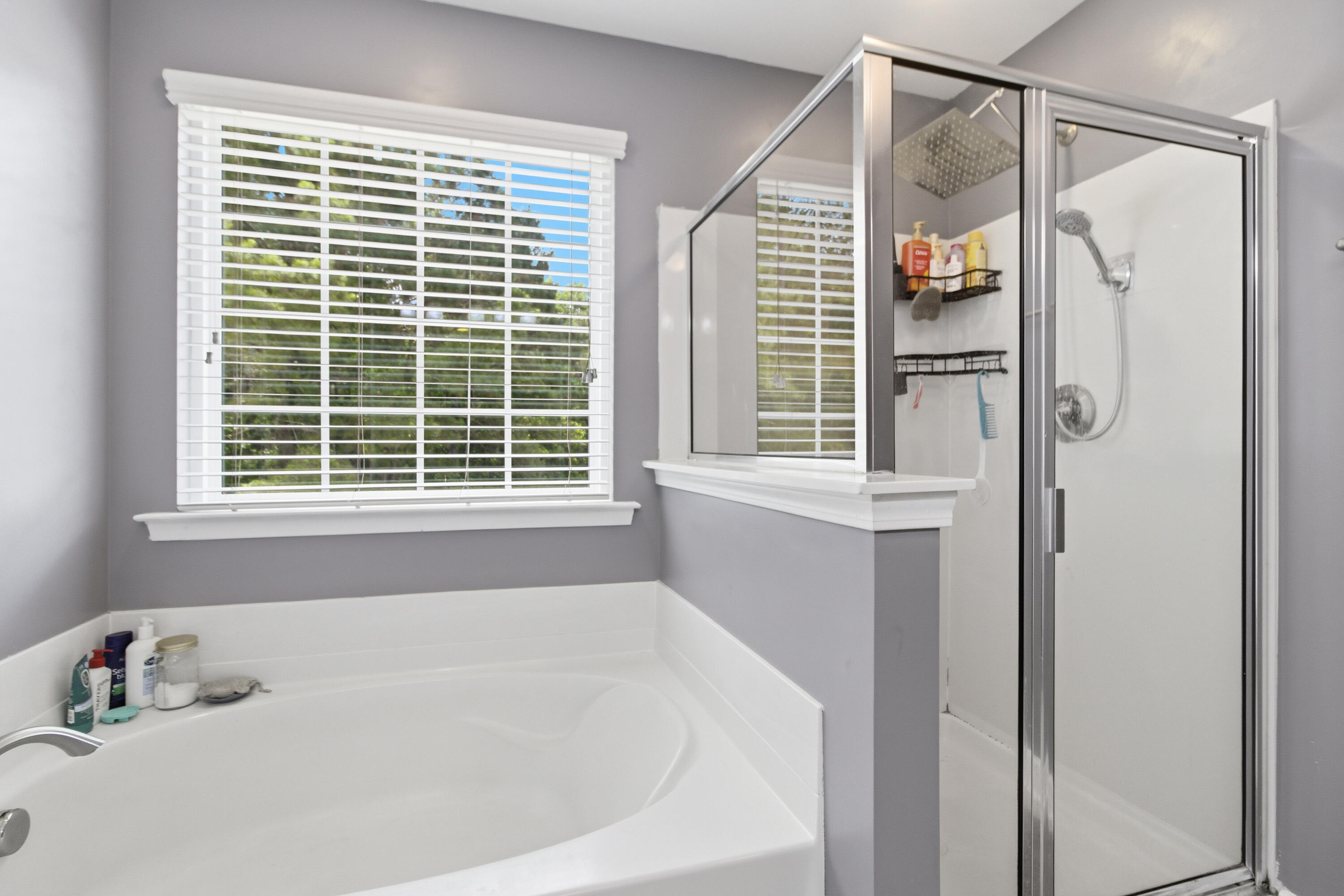 415 Fetterbush Drive