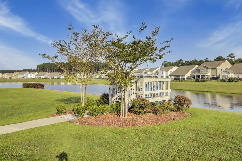 163 Surfbird Road