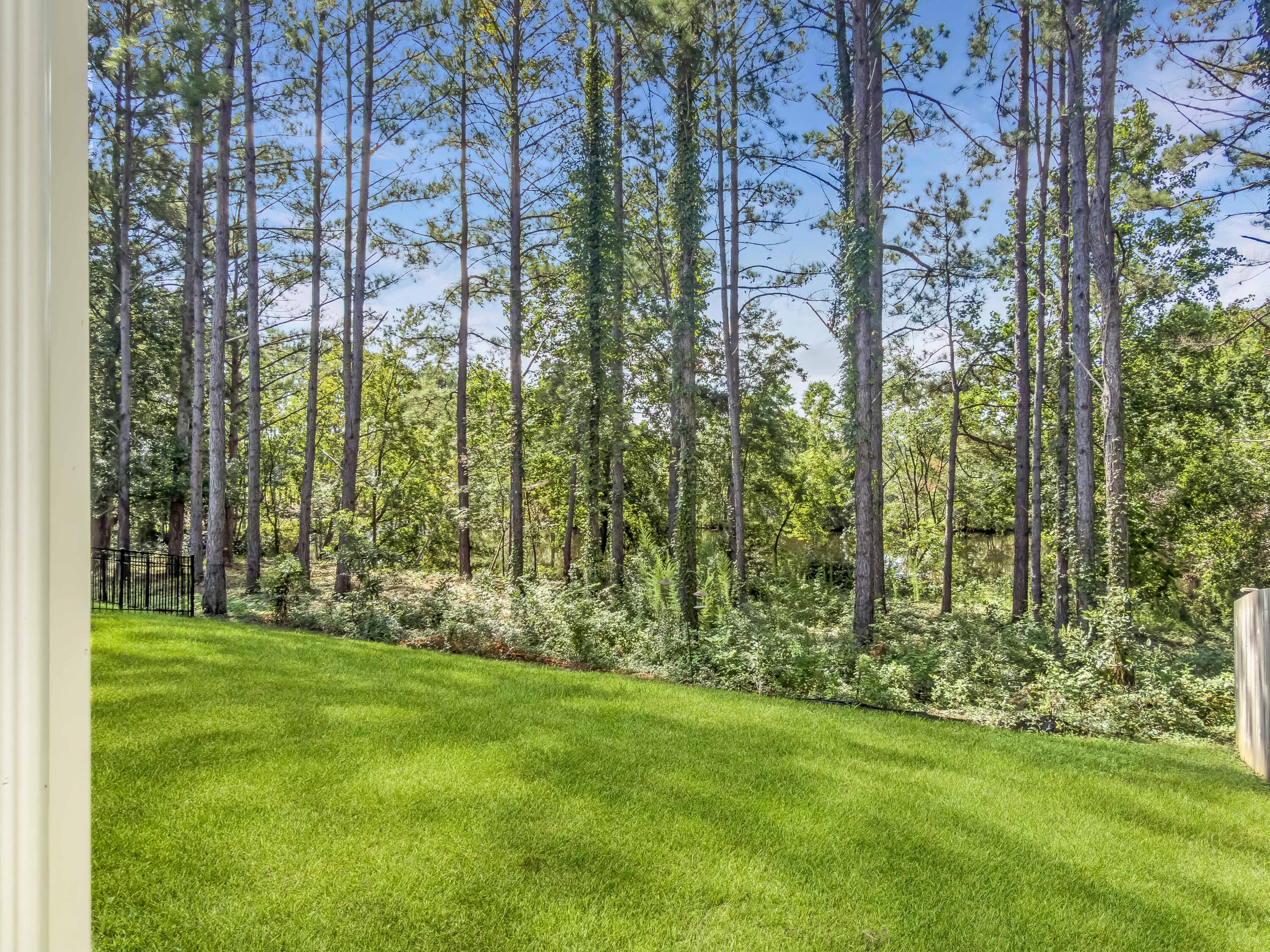144 Tawney Forest Road