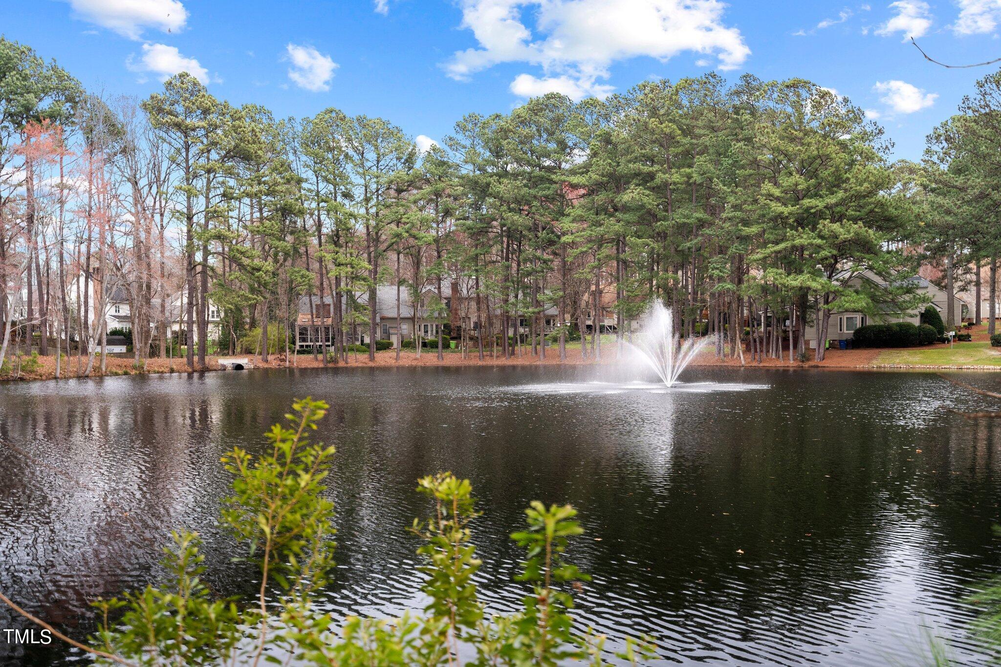 2328 Wertherson Lane