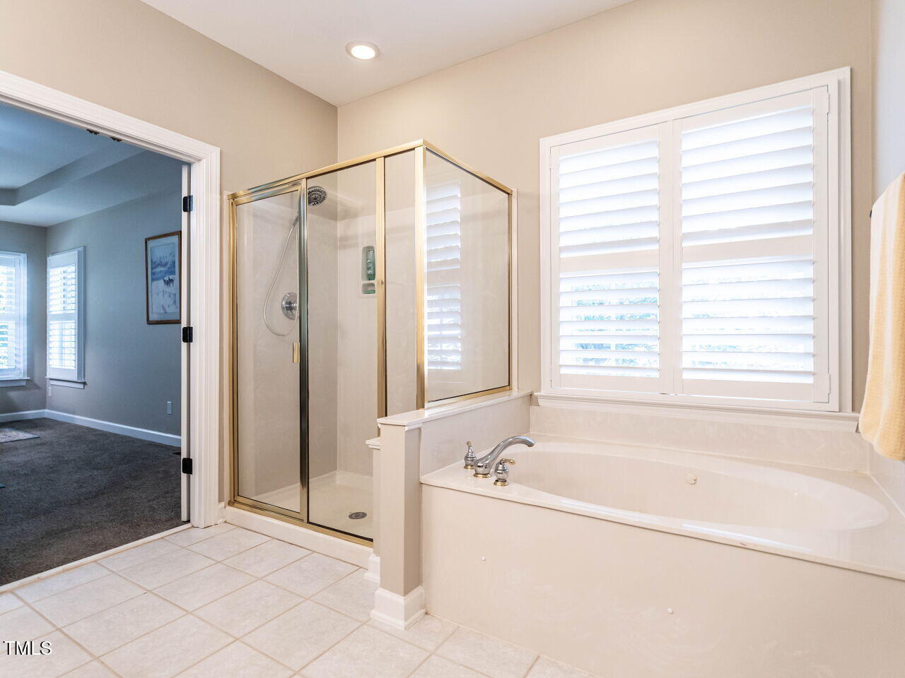 12005 Jasmine Cove Way, Raleigh