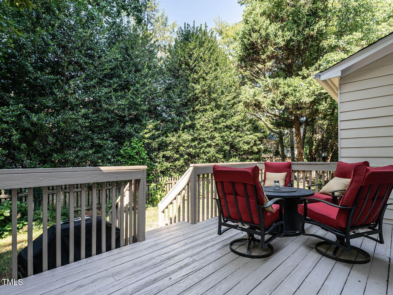 12005 Jasmine Cove Way, Raleigh