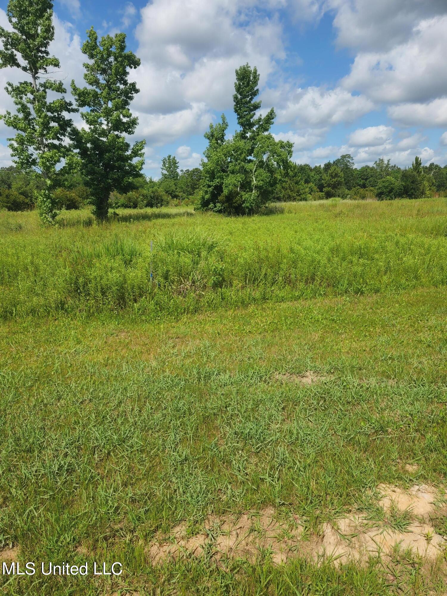 O Atlantis Drive, 29