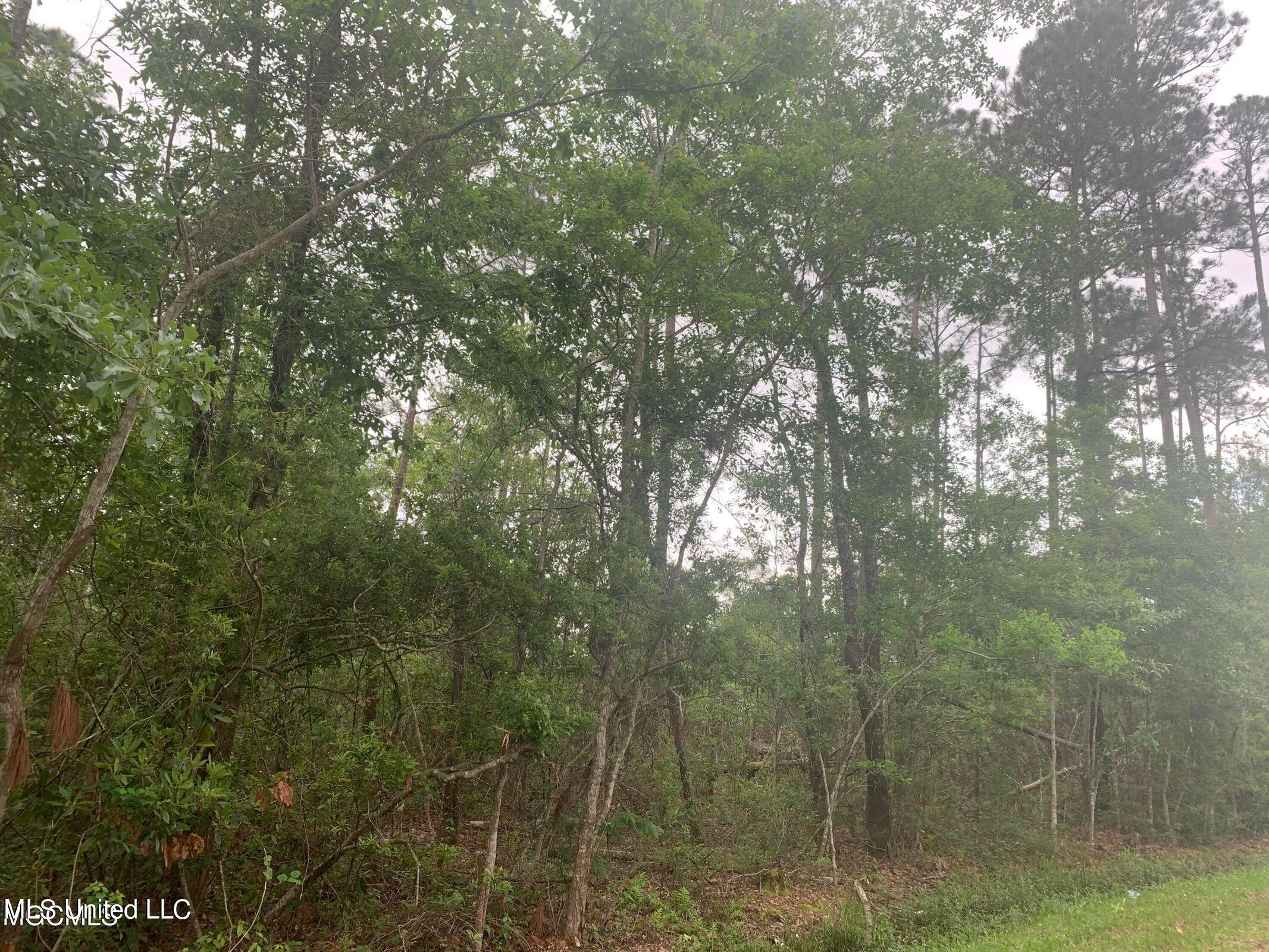 0 Kiln Waveland Cutoff Road