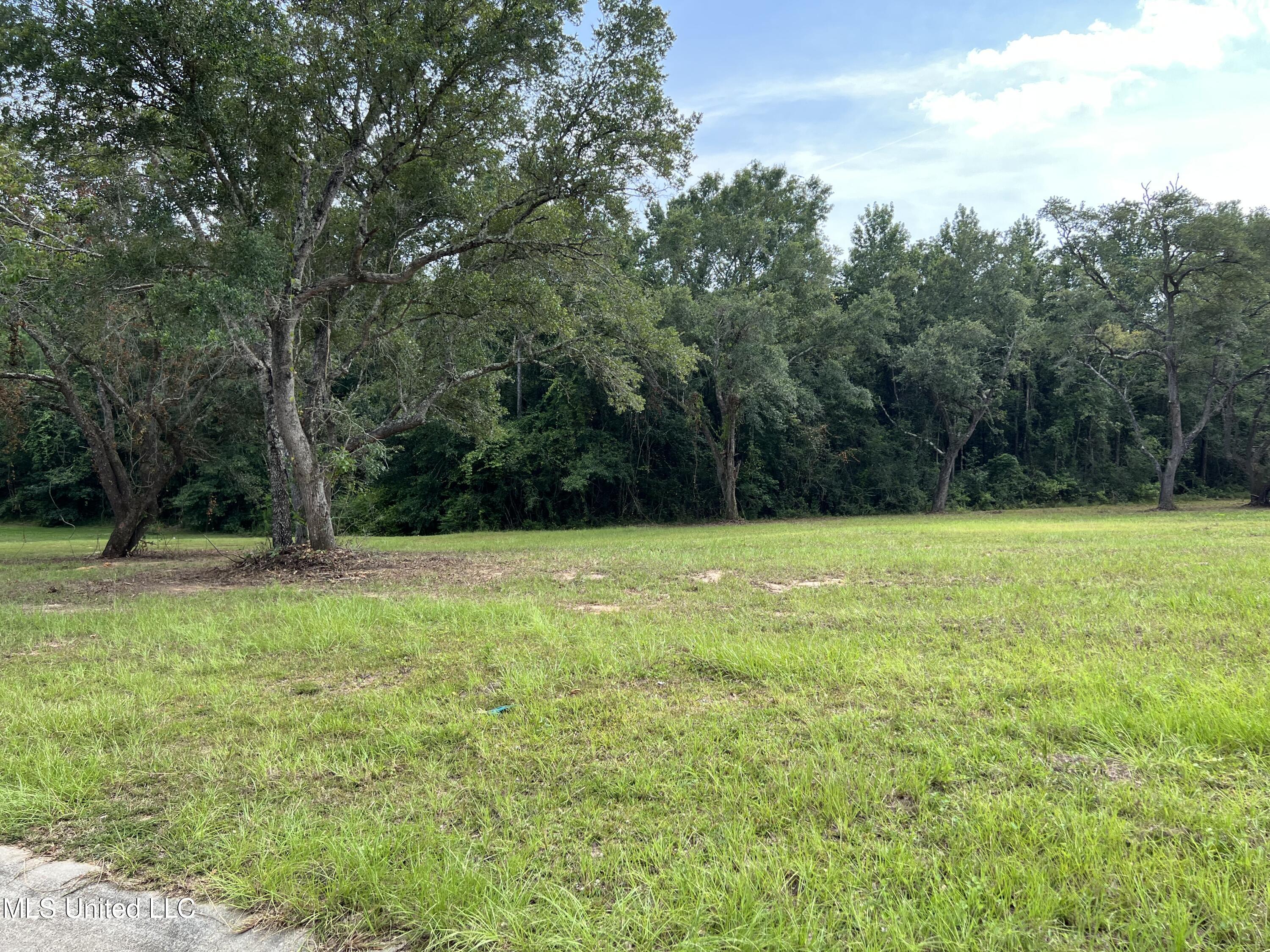 1-2 Magnolia Boulevard