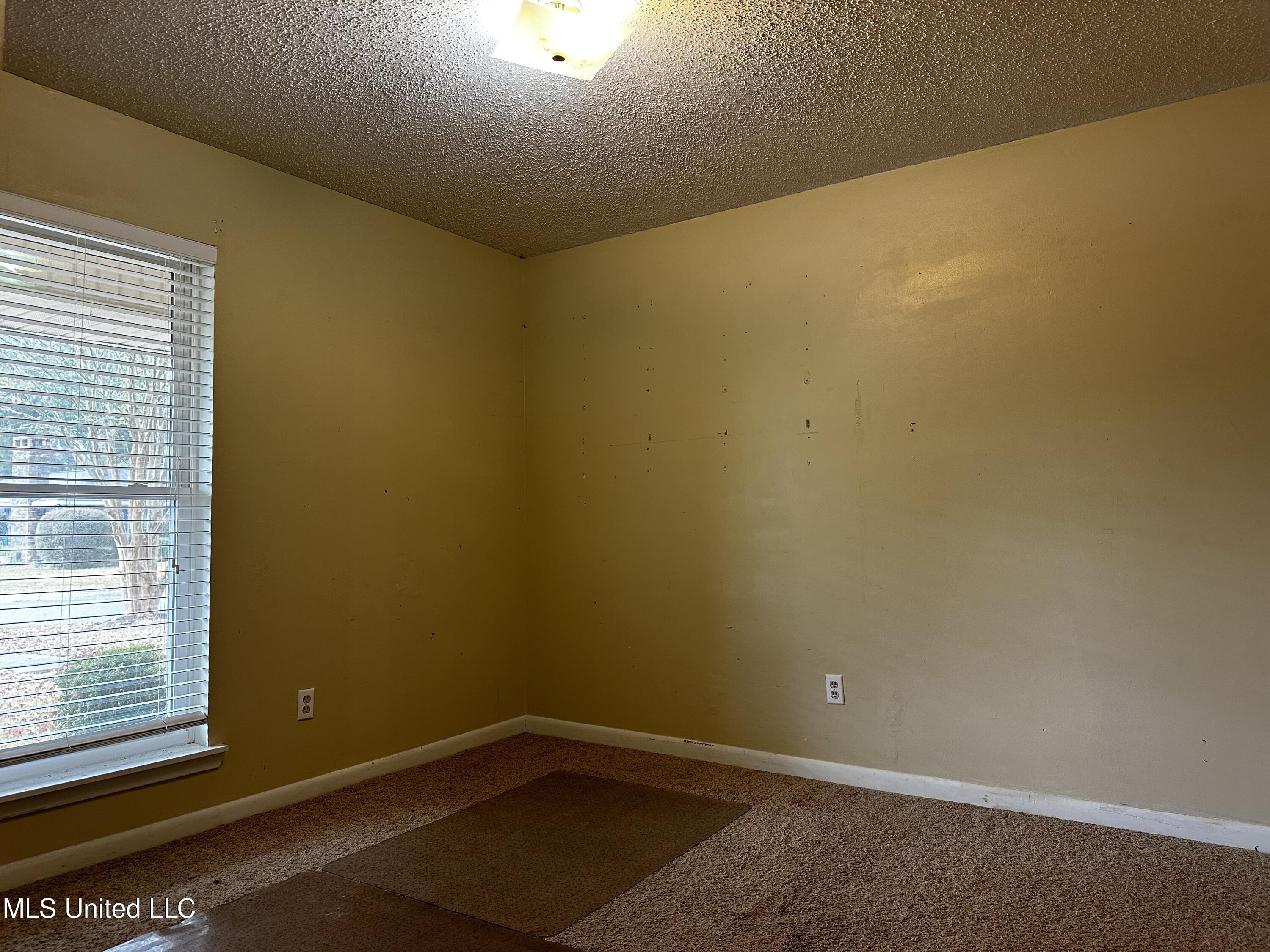 415 Pecan Park Drive