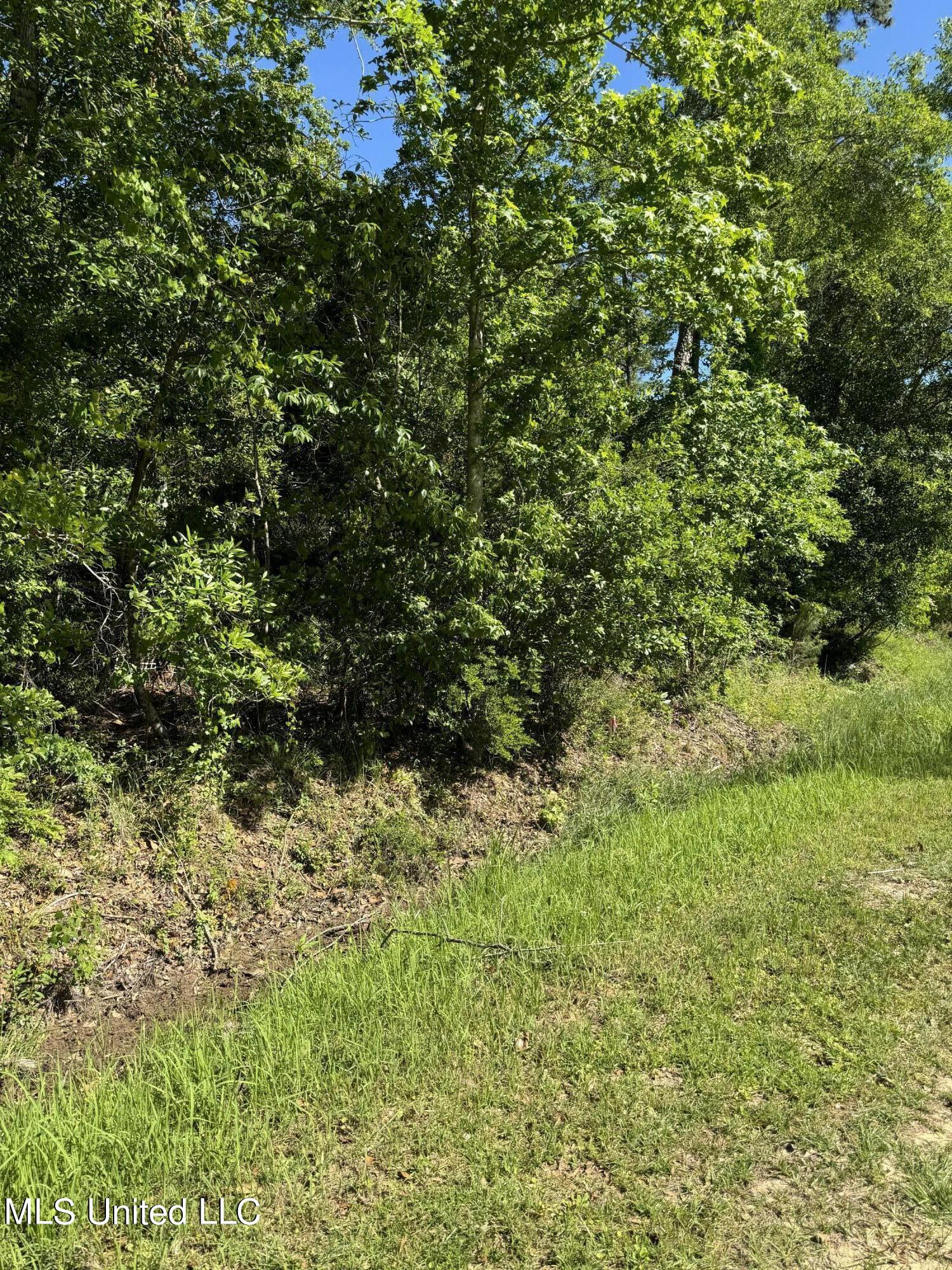 Lots 11&12 Iona Street