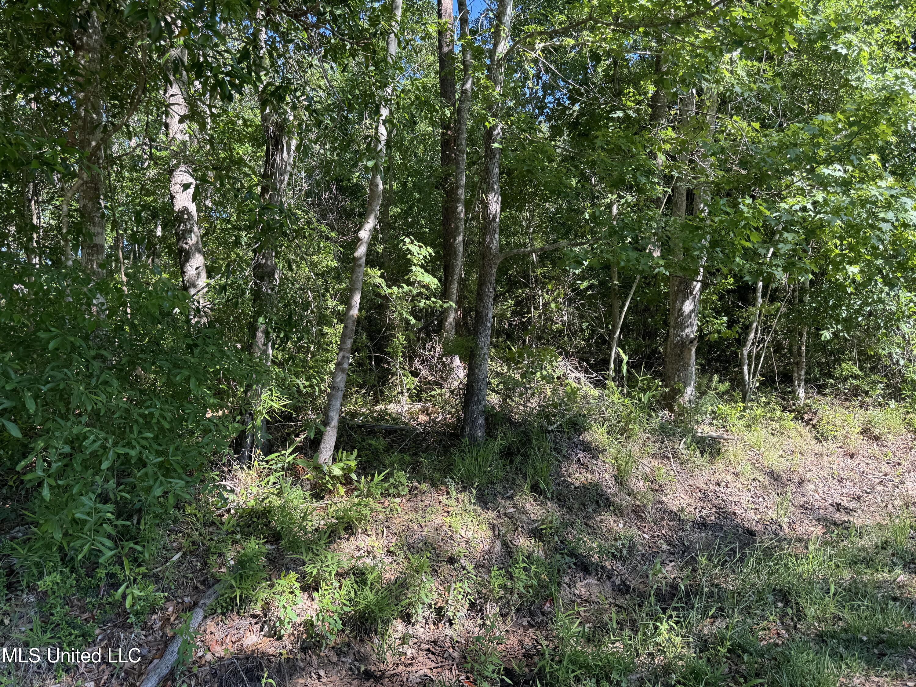 Lots 11&12 Iona Street