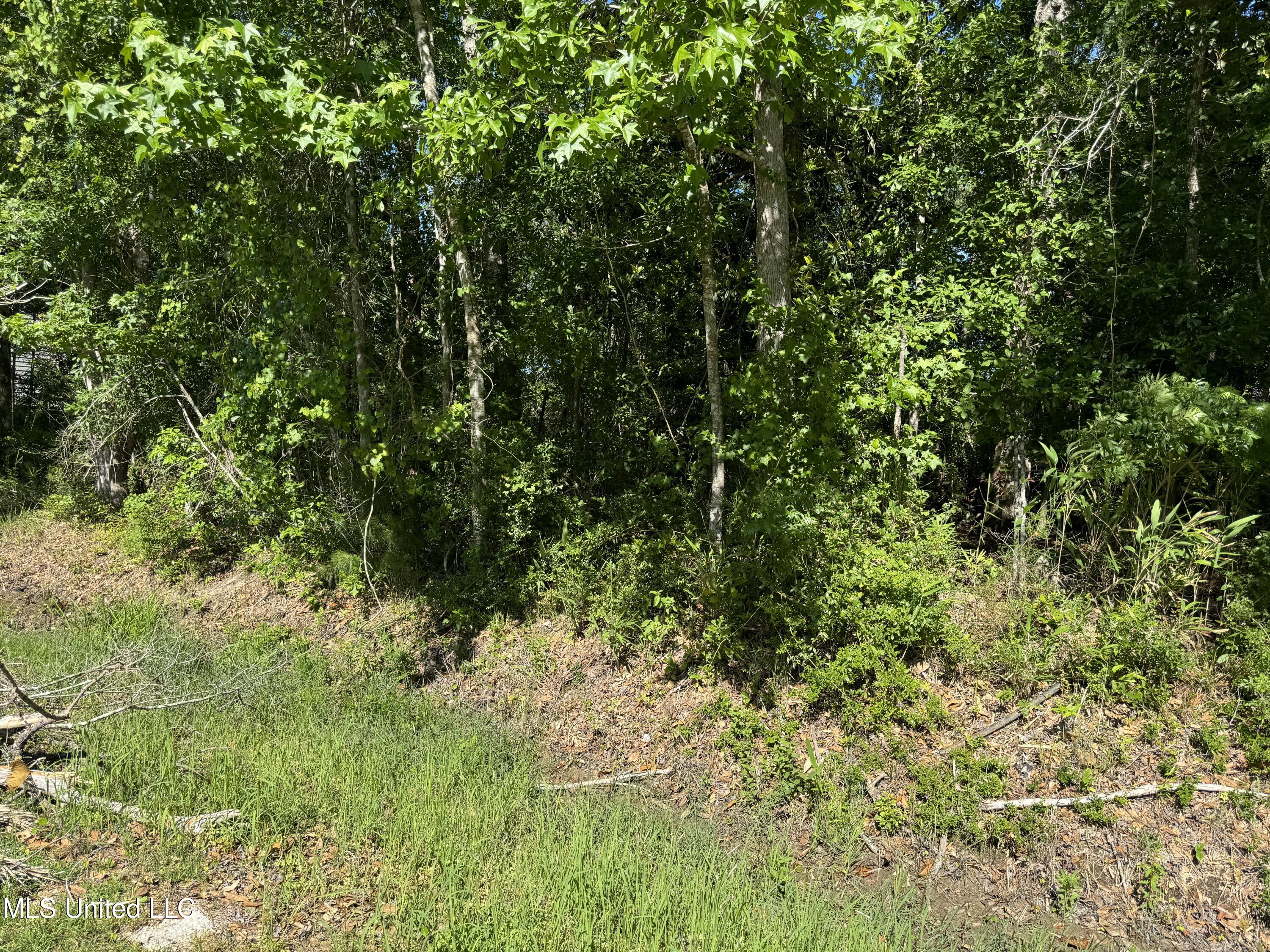 Lots 11&12 Iona Street