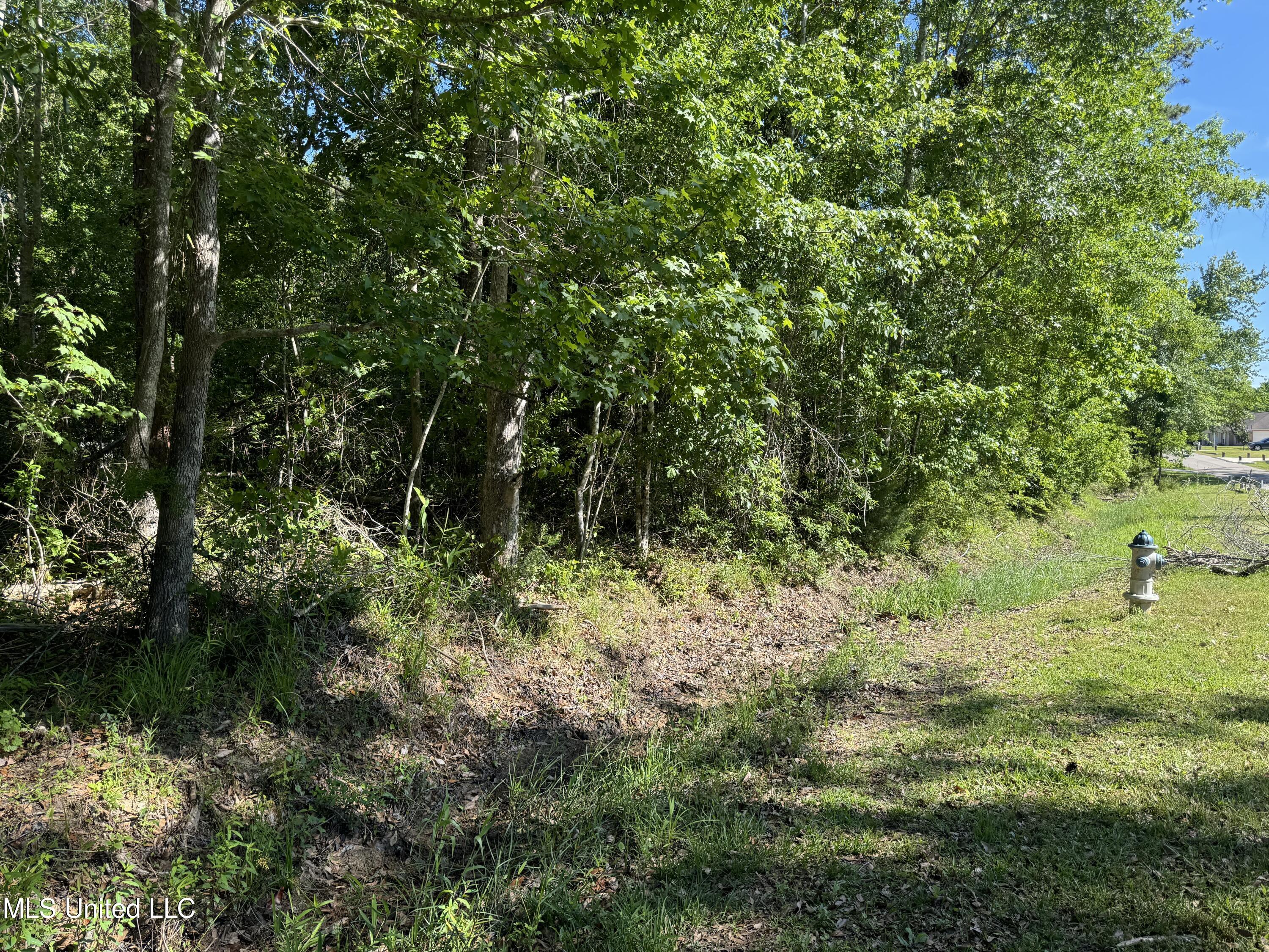 Lots 11&12 Iona Street