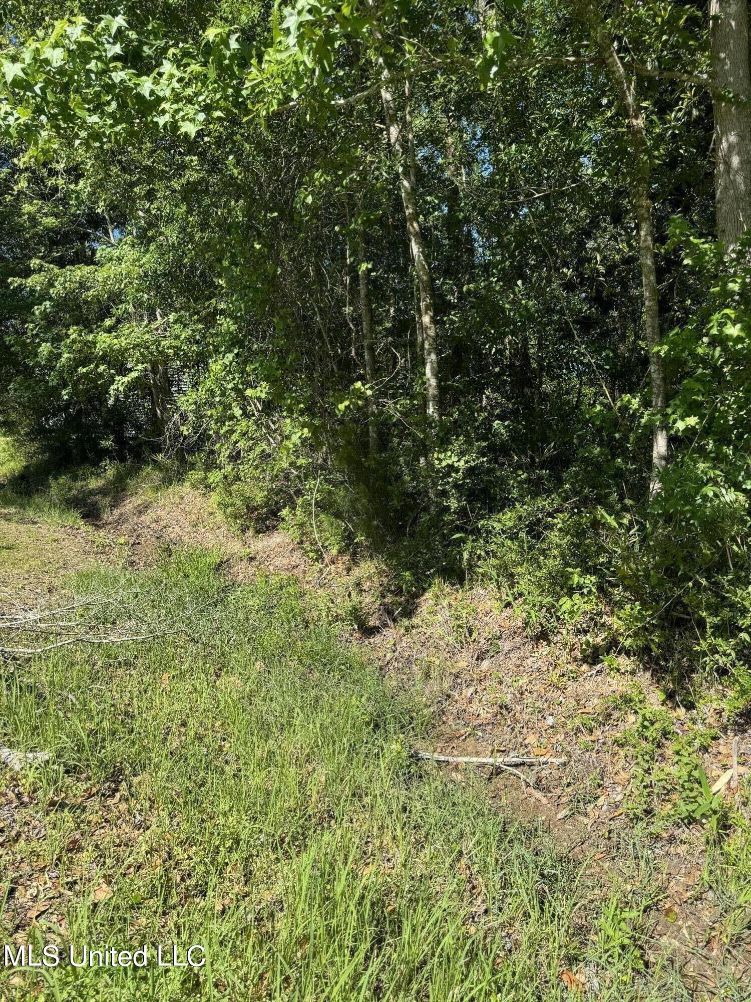 Lots 11&12 Iona Street