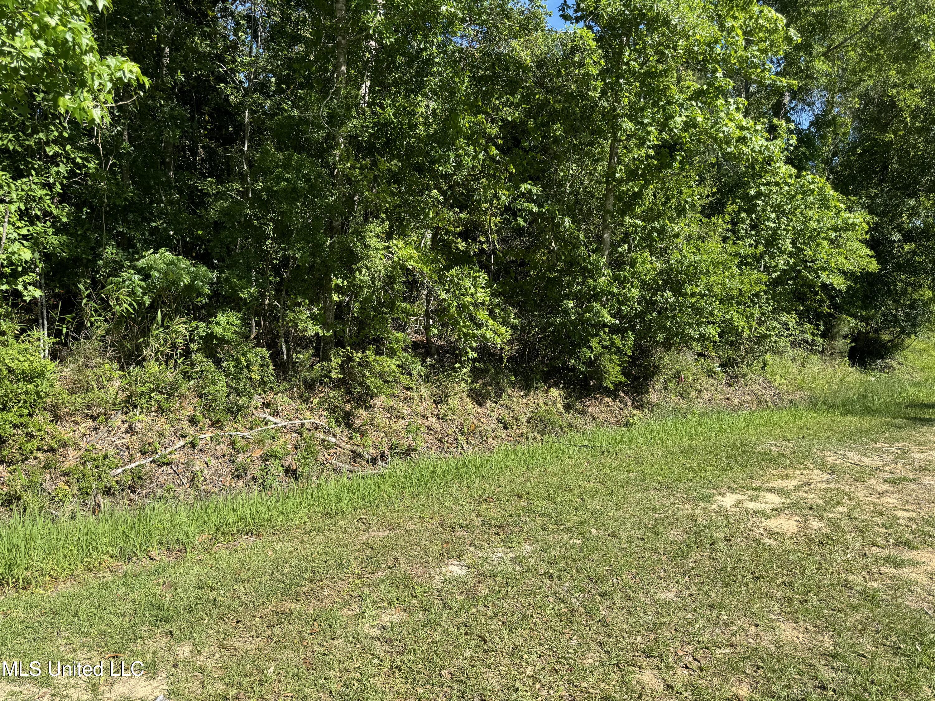 Lots 11&12 Iona Street