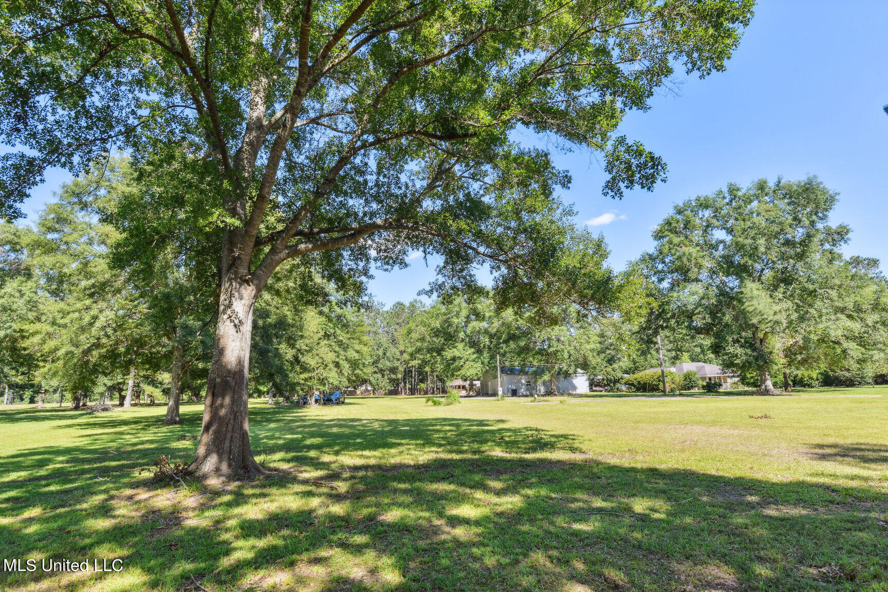 196 Richardson-Ozona Road