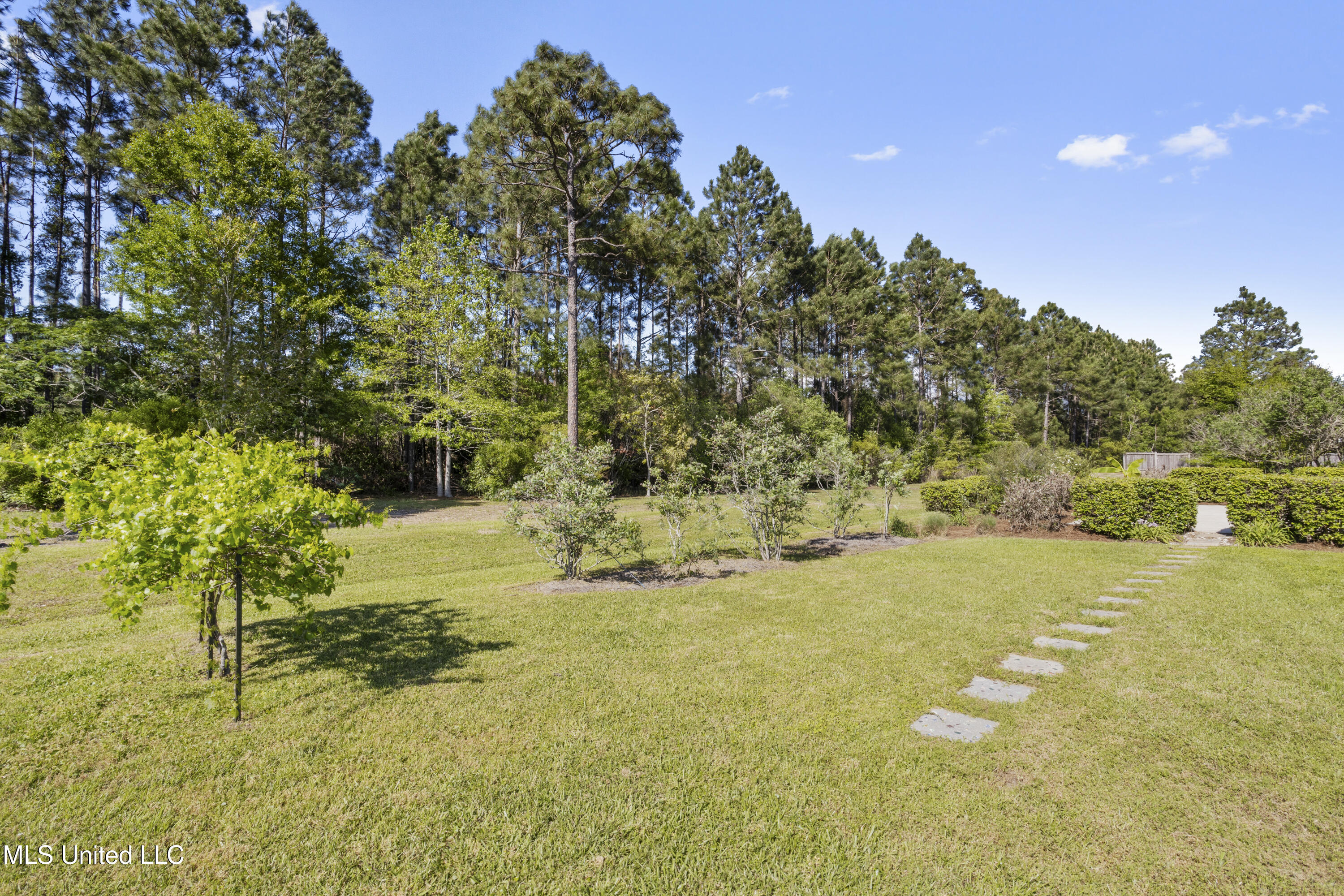 3126 Shadow Wood Drive