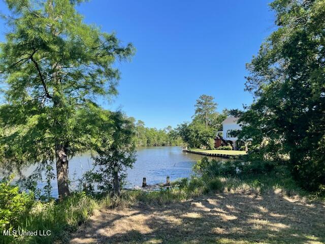 10411 Riverroad Drive