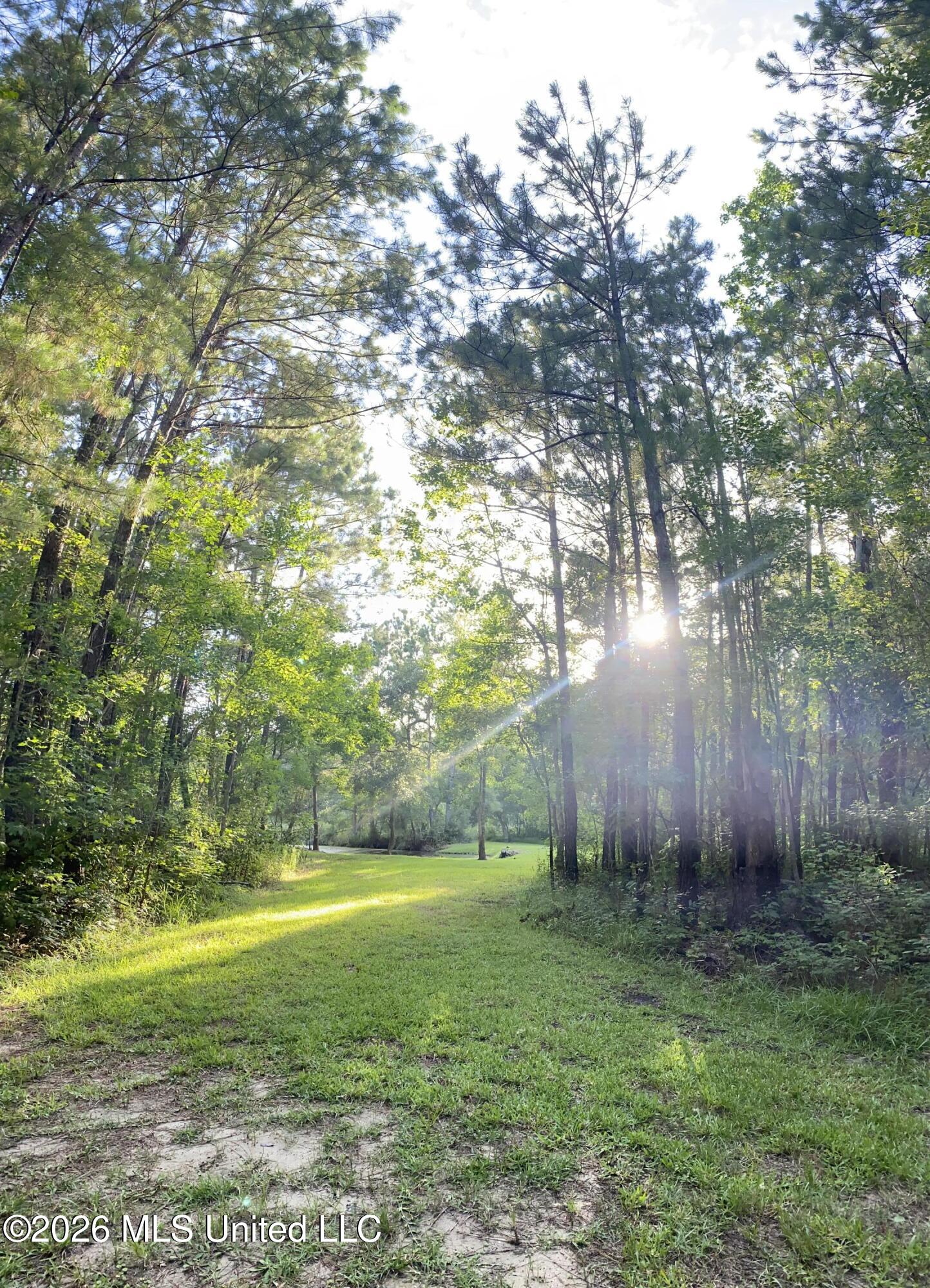 1441 Blue Meadow Road