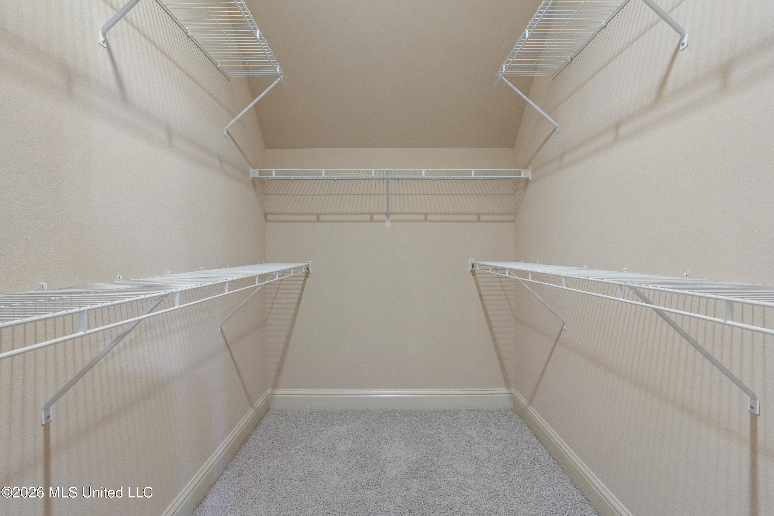 10051 Cain Road