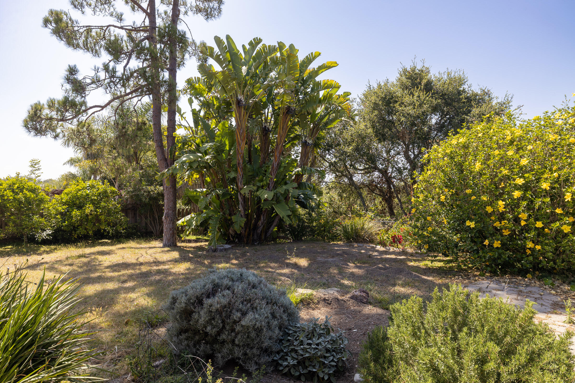 5256 James Road