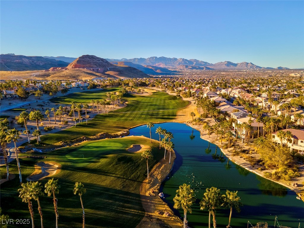 351 Dandelion Brook Ct Court