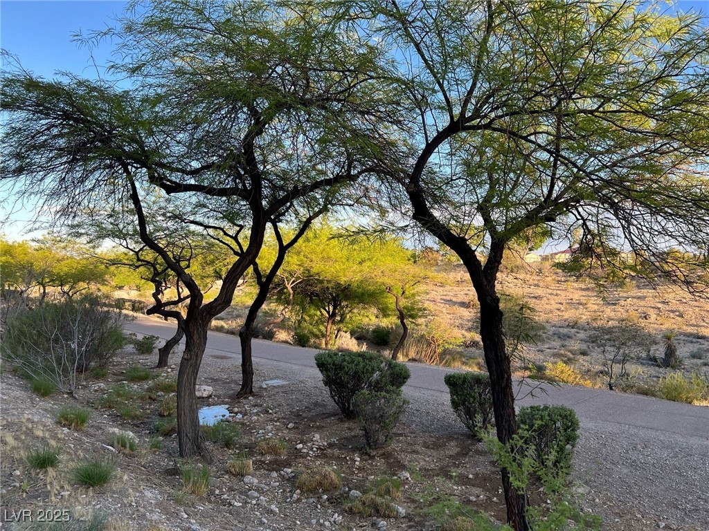 1909 Villa Palms Court 209