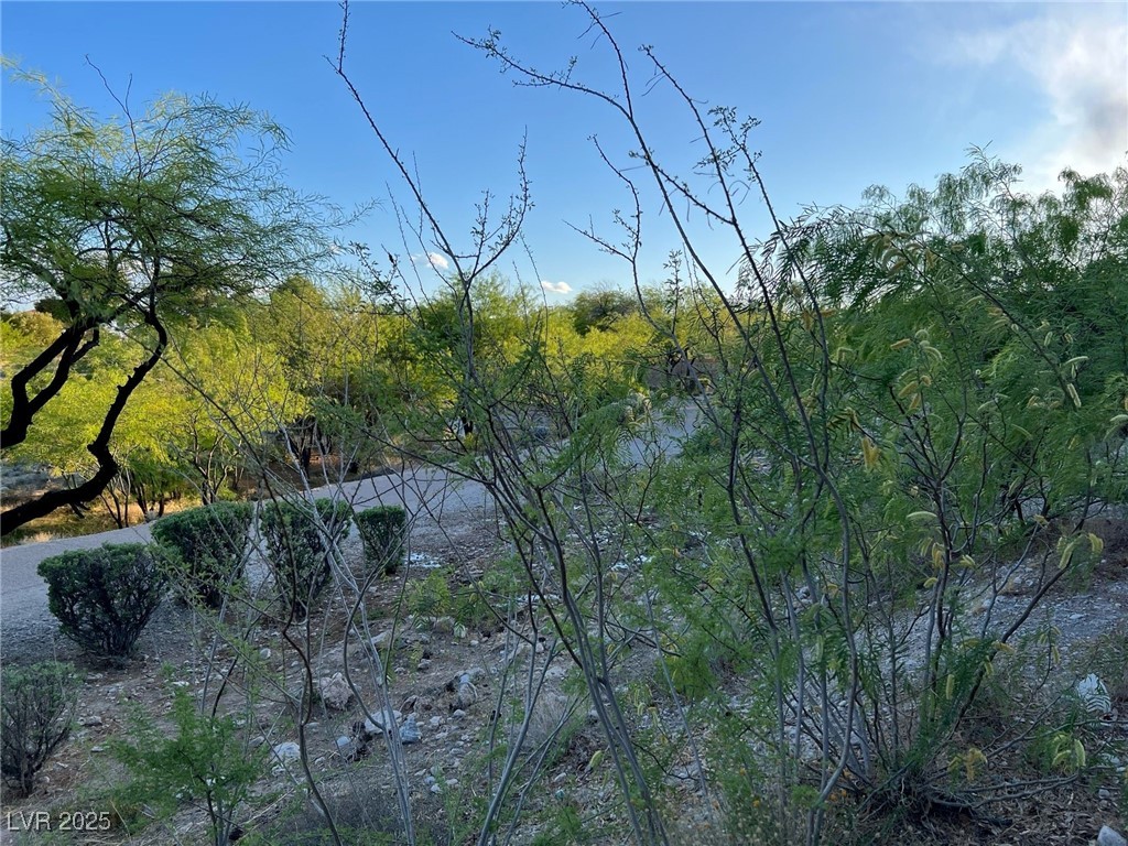 1909 Villa Palms Court 209
