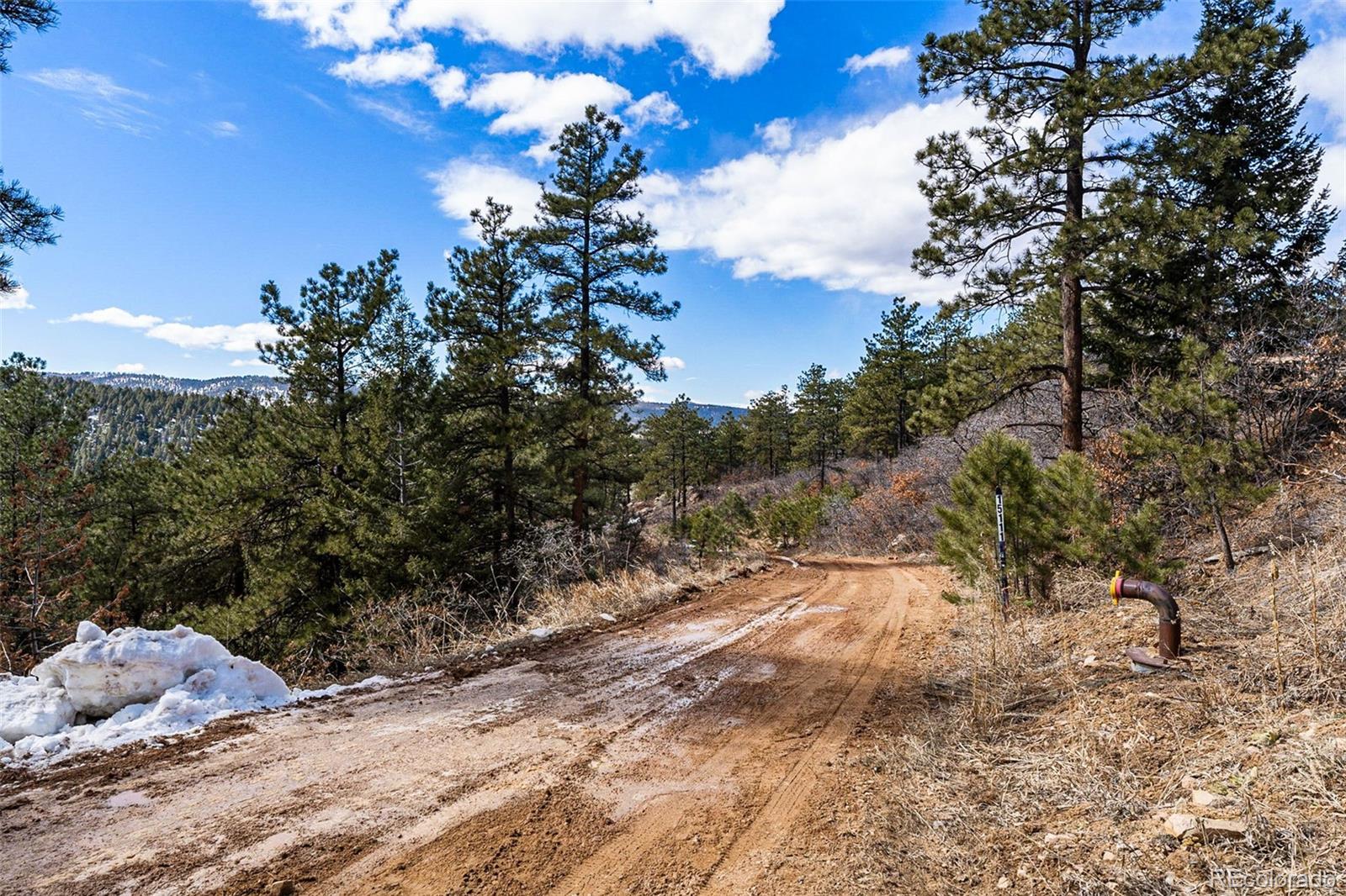 15111 Elk Mountain Trail