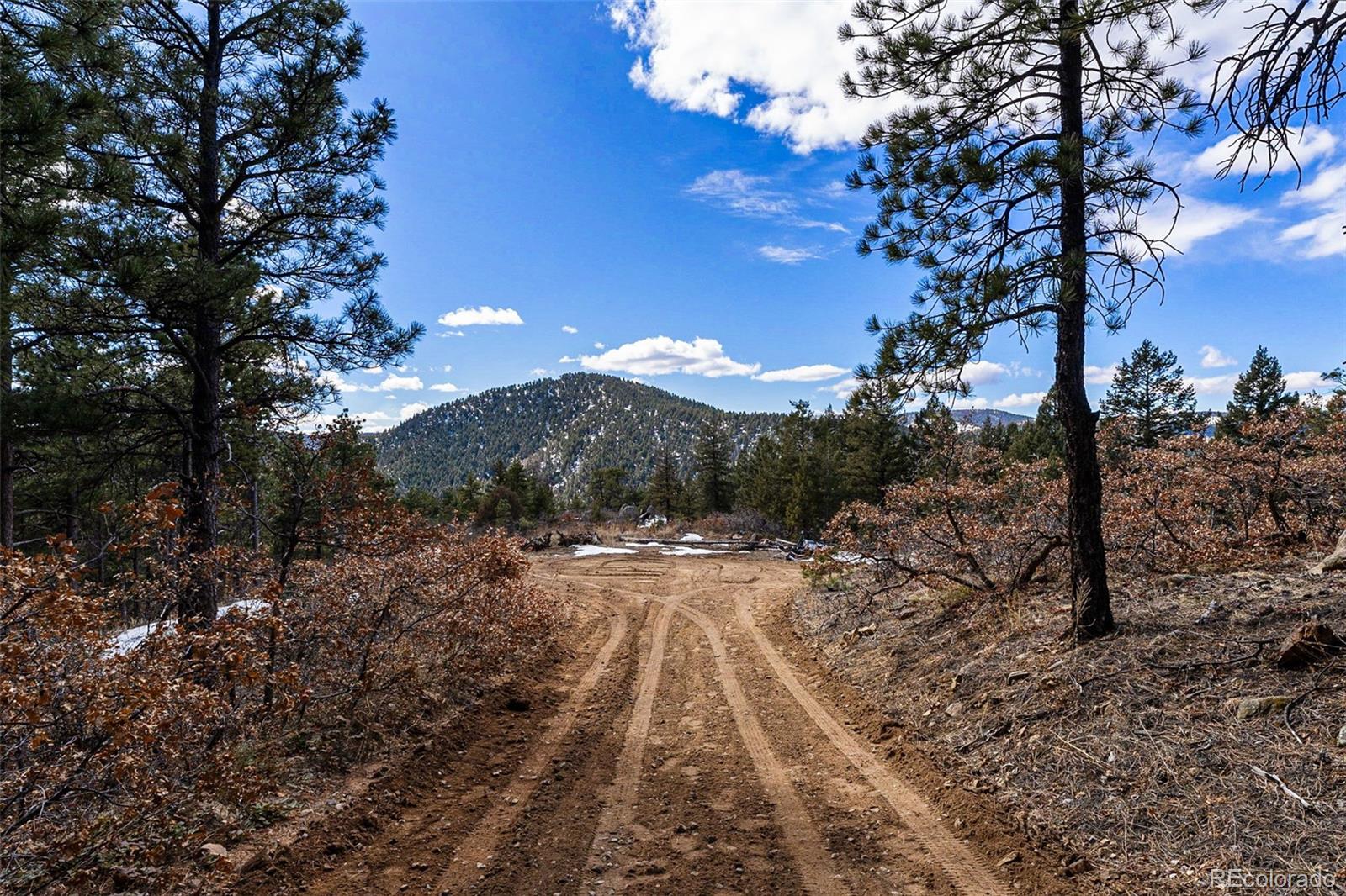 15111 Elk Mountain Trail