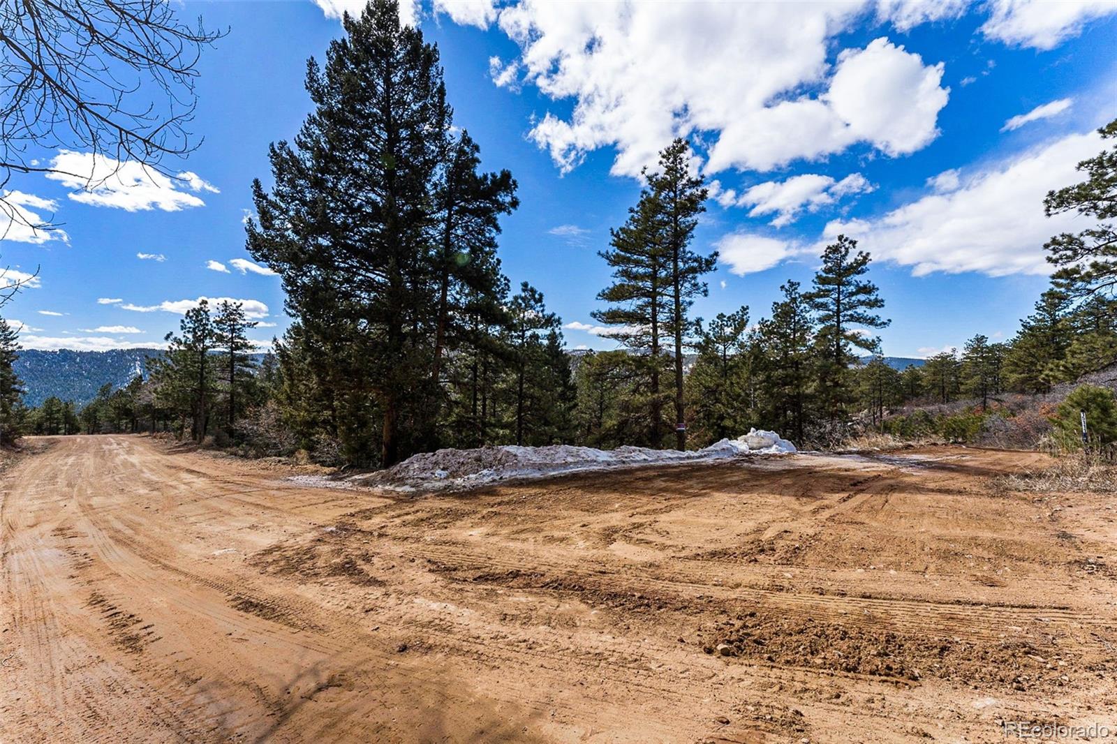 15111 Elk Mountain Trail