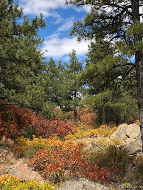 15111 Elk Mountain Trail