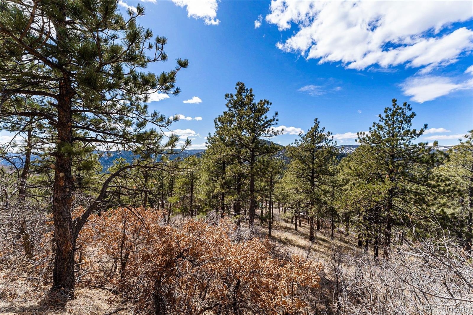 15111 Elk Mountain Trail