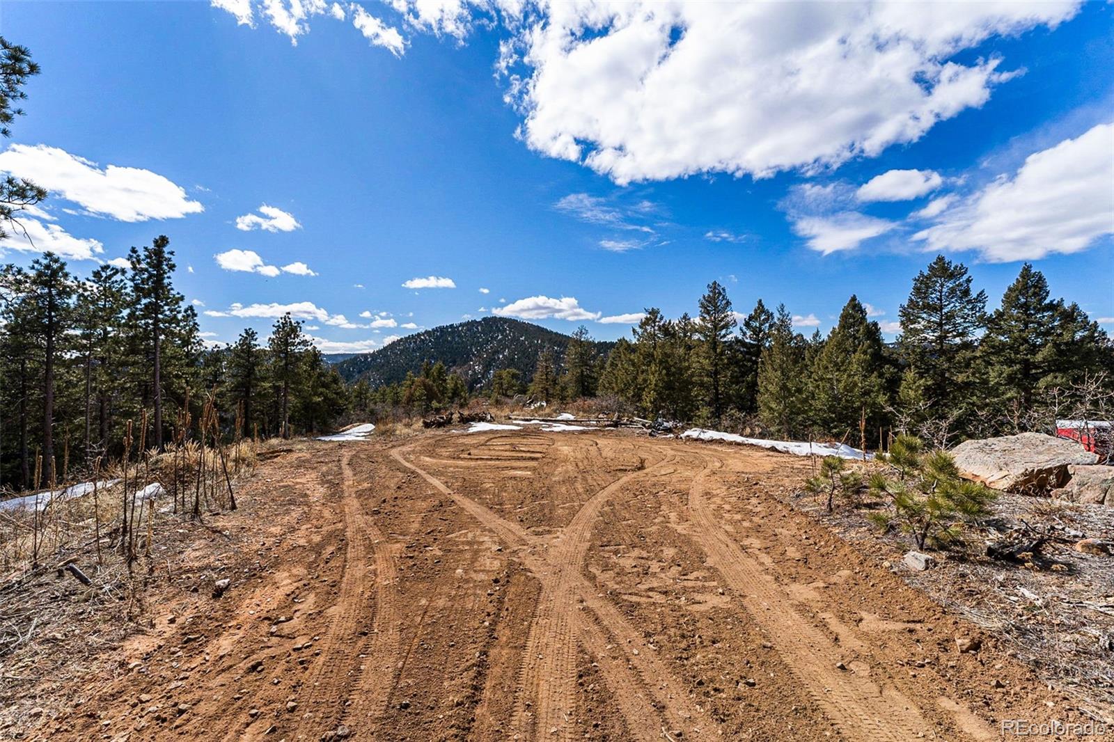 15111 Elk Mountain Trail
