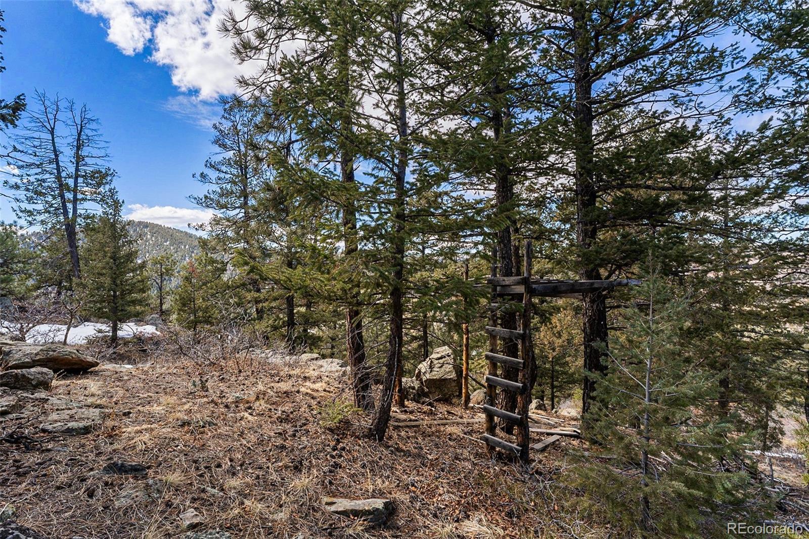 15111 Elk Mountain Trail