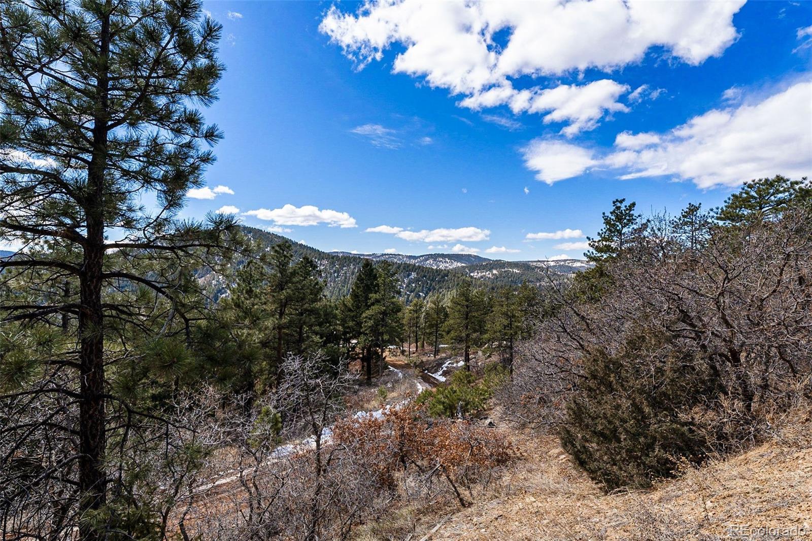 15111 Elk Mountain Trail